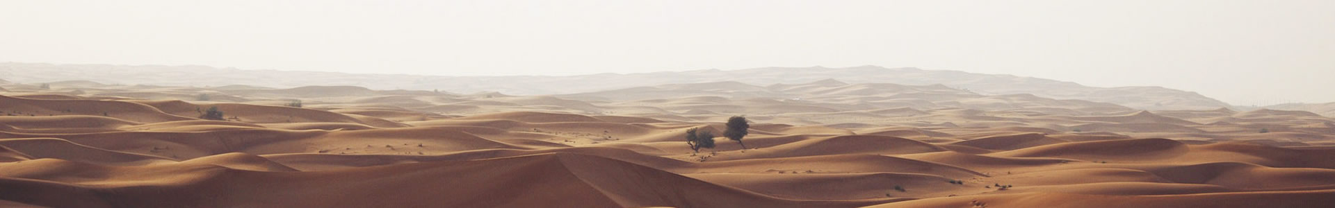 㽭ݹҵ޹˾